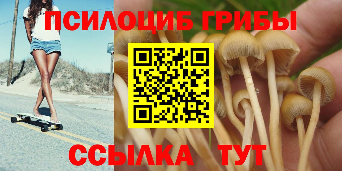 Псилоцибиновые грибы Cubensis  Галлюциногенные грибы MAGIC MUSHROOMS  Гусиноозёрск  Вход с VPN 