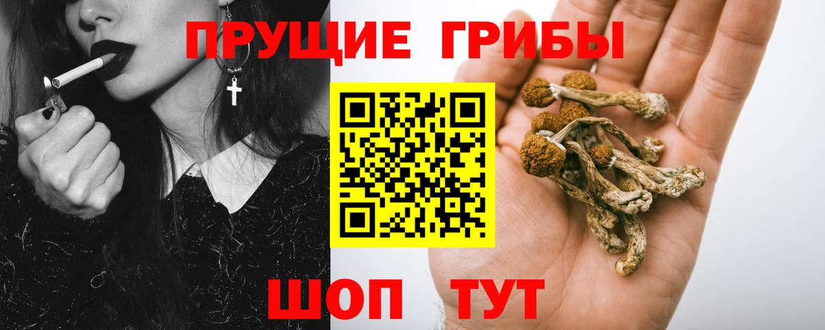 Галлюциногенные грибы ЛСД Гусиноозёрск